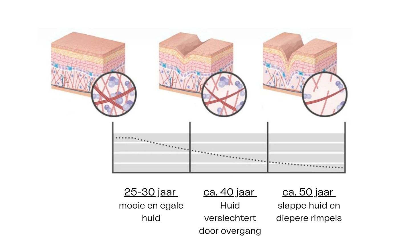 Welk collageen werkt het beste? Ontdek hier het beste!