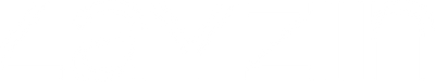Layzinskin